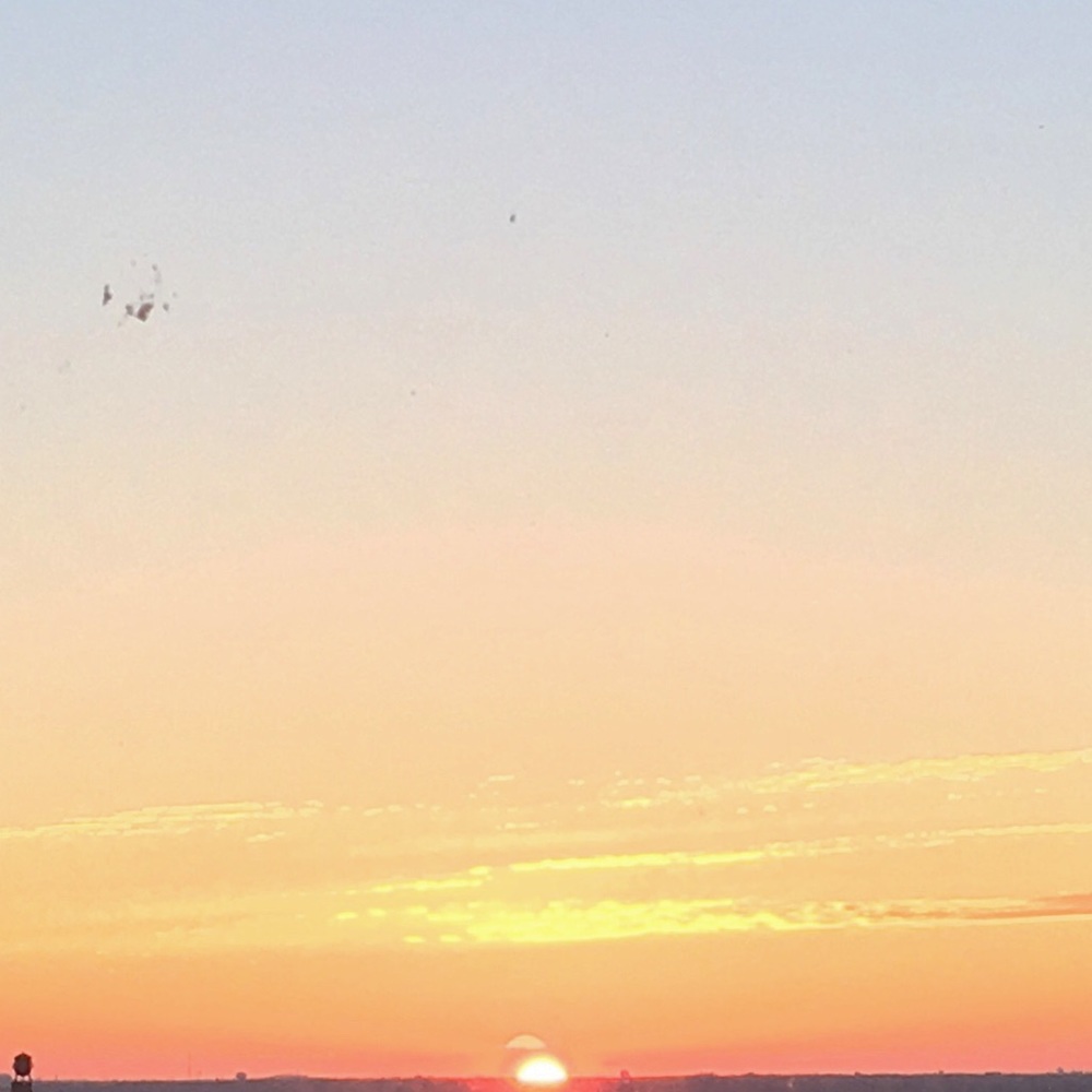 Meet your Posher, Antonia